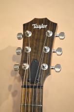 Taylor GT-e Urban Ash　2021年製_4