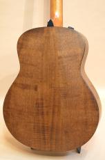 Taylor GT-e Urban Ash　2021年製_6