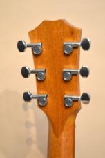 Taylor GT-e Urban Ash　2021年製_8