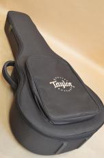 Taylor GT-e Urban Ash　2021年製_13