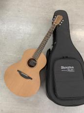 Sheeran by Lowden S01 Ed Sheeran Signature Model! L.R Baggs Element ピックアップ付き!