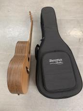 Sheeran by Lowden S01 Ed Sheeran Signature Model! L.R Baggs Element ピックアップ付き!_10