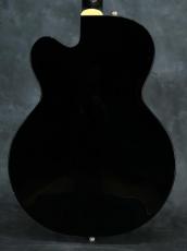 Gretsch G6119-65KA "Kenichi Asai Signature Black Cat with Bigsby"_14