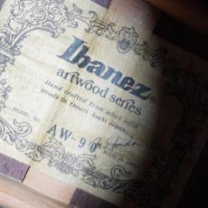 Ibanez 1979 AW-90_10