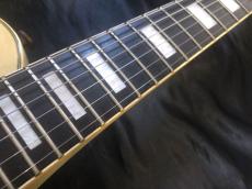 Aria Pro II PE-DLX 80’s_5