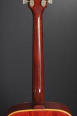 Gibson DOVE_9
