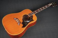 Gibson DOVE_10