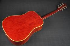Gibson DOVE_12