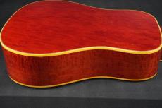 Gibson DOVE_13