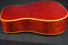 Gibson DOVE_14