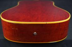 Gibson DOVE_16