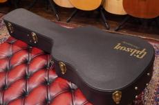 Gibson DOVE_17