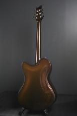 Emerald Guitars X20 Redwood Burl_4