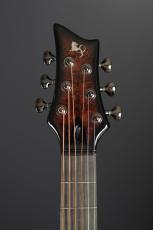 Emerald Guitars X20 Redwood Burl_6