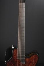 Emerald Guitars X20 Redwood Burl_7