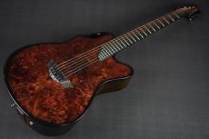Emerald Guitars X20 Redwood Burl_10