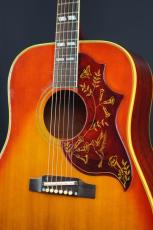 Gibson HUMMINGBIRD_3