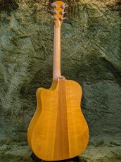 Cole Clark CCFL1EC-SSO ~All Southern Silky Oak~ #221242576【送料込】_3