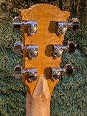 Cole Clark CCFL1EC-SSO ~All Southern Silky Oak~ #221242576【送料込】_6