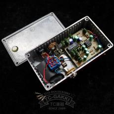 Pharaoh Amplifiers Echo Jr. VINTAGE DELAY_5
