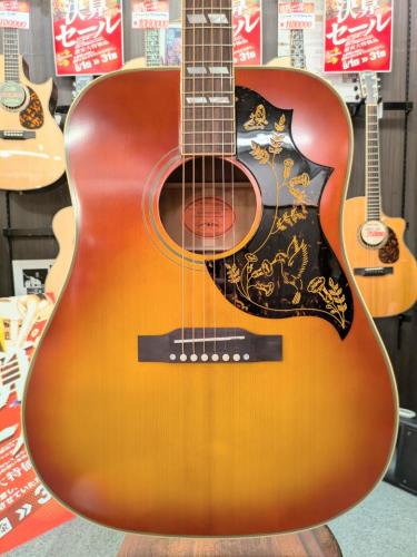 Epiphone 1960 Hummingbird Reissue Heritage Cherry Sunburst 【オール単板】