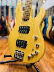 ESP  AP-SL 