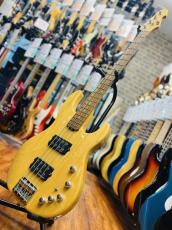 ESP  AP-SL _2