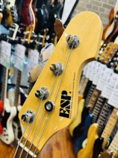 ESP  AP-SL _3