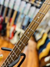 ESP  AP-SL _4