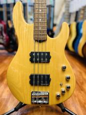 ESP  AP-SL _5