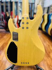ESP  AP-SL _9