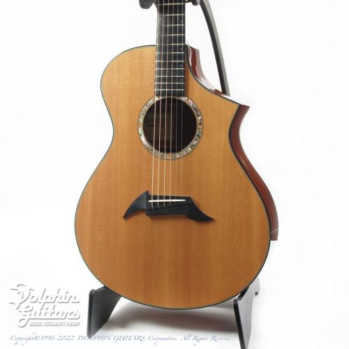 Breedlove C22 M【最大36回無金利キャンペーン対象品】