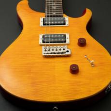 Paul Reed Smith [PRS] 2023 SE CUSTOM 24 ～Vintage Yellow～ #CTIF112087 [3.46kg]【決算セール】【決算セール】_4
