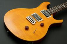 Paul Reed Smith [PRS] 2023 SE CUSTOM 24 ～Vintage Yellow～ #CTIF112087 [3.46kg]【決算セール】【決算セール】_6