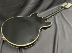 Sire Sire Larry Carlton H7T BK (Black) _7