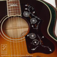 Gibson J-200 VS【デモ動画掲載】_13