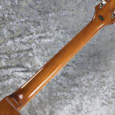 Epiphone Les Paul Standard 60s ~Silver Mist~ #25031526914【4.03kg】_8