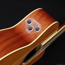 YAMAHA FSC-TA VT_5