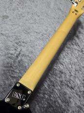 ESP RANDOM STAR -THE BLACK STAR- MOD品_6