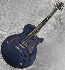 Sadowsky 【美品USED】Semi Hollow Model TBK -Trans Black- [2.80kg]_2