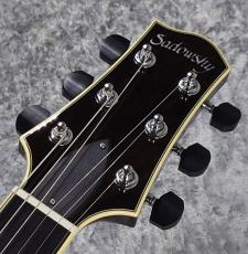 Sadowsky 【美品USED】Semi Hollow Model TBK -Trans Black- [2.80kg]_9