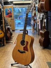 Taylor 110