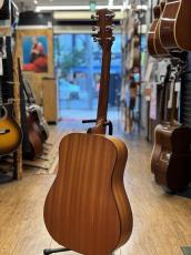 Taylor 110_4