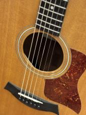 Taylor 110_5