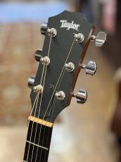 Taylor 110_7