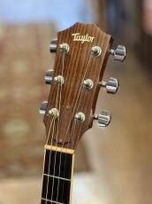 Taylor DN3 2007年製_7