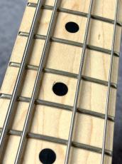 Sterling by MUSIC MAN Joe Dart I【3.99kg】_6