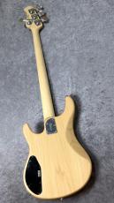 Sterling by MUSIC MAN Joe Dart I【3.99kg】_11