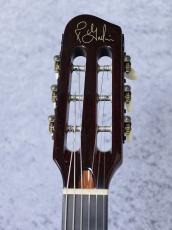 Godin Multiac Jazz Spruce【USED】_4