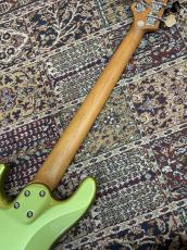 Bacchus WJB5-1DX RSM/M - FGRM (French Green Metallic) -_9